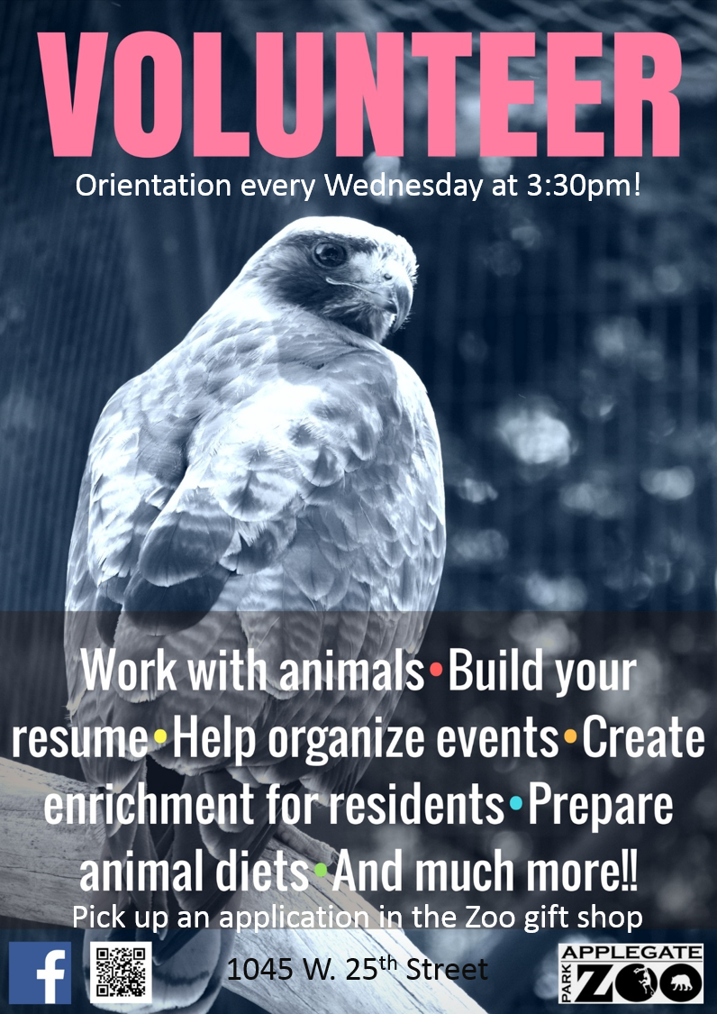 Volunteer! Orientation every Wednesday at 3:30pm