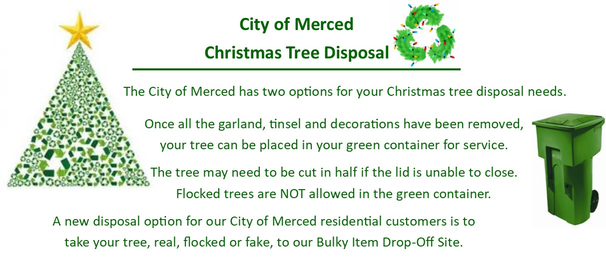 Christmas tree disposal options