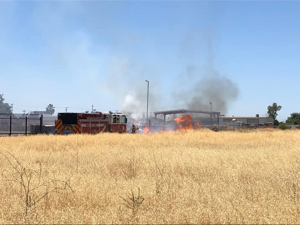 Overgrown Weed with Fire Engine